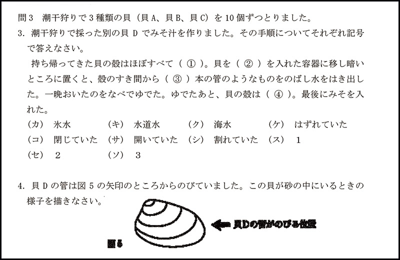 慶應義塾普通部 2018年度入試分析