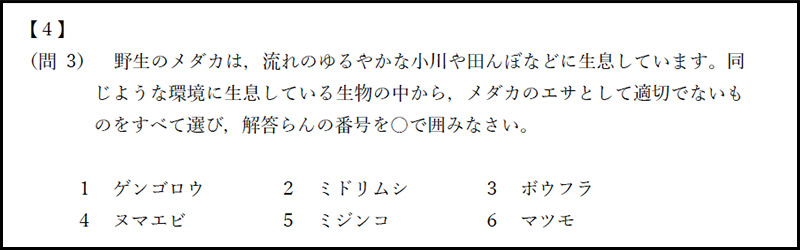 慶應義塾湘南藤沢中等部 2017年度入試分析